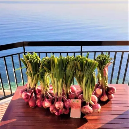 Appartamento Gaia A Tropea *